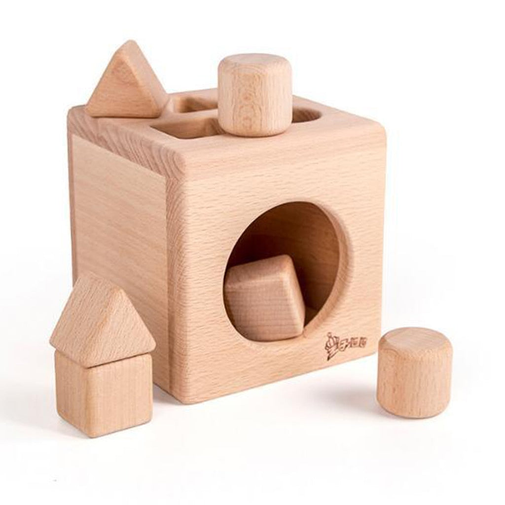 Cube de Tri en Bois pour Enfants – Jouet Éducatif Montessori, Jeu d'Empilage et de Correspondance des Formes - LylyShop