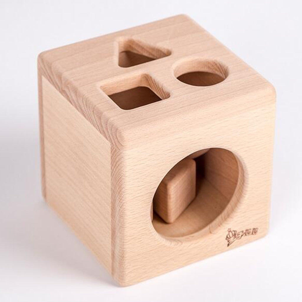 Cube de Tri en Bois pour Enfants – Jouet Éducatif Montessori, Jeu d'Empilage et de Correspondance des Formes - LylyShop