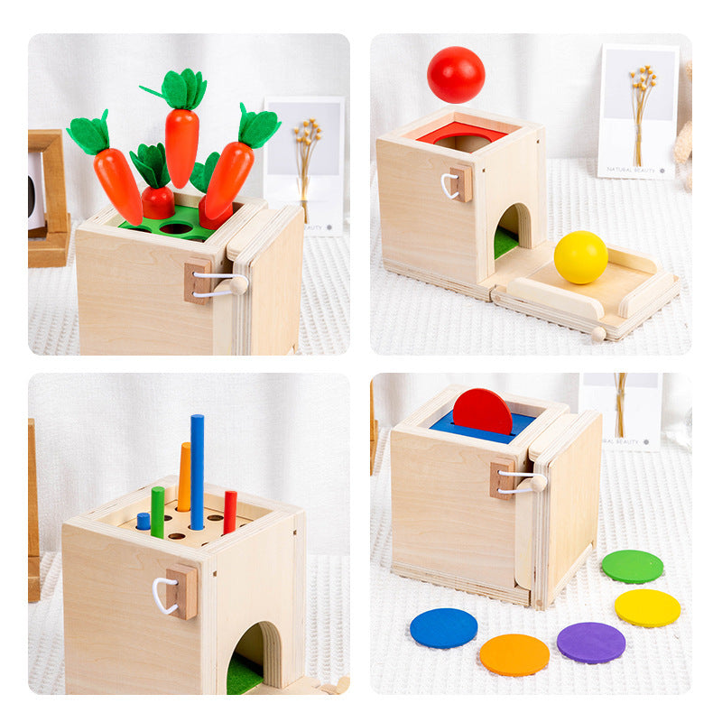 Boîte à Coins Montessori 4 en 1 – Jouet Multifonctionnel avec Carottes à Tirer, Blocs de Construction et Jeu de Correspondance des Couleurs - LylyShop